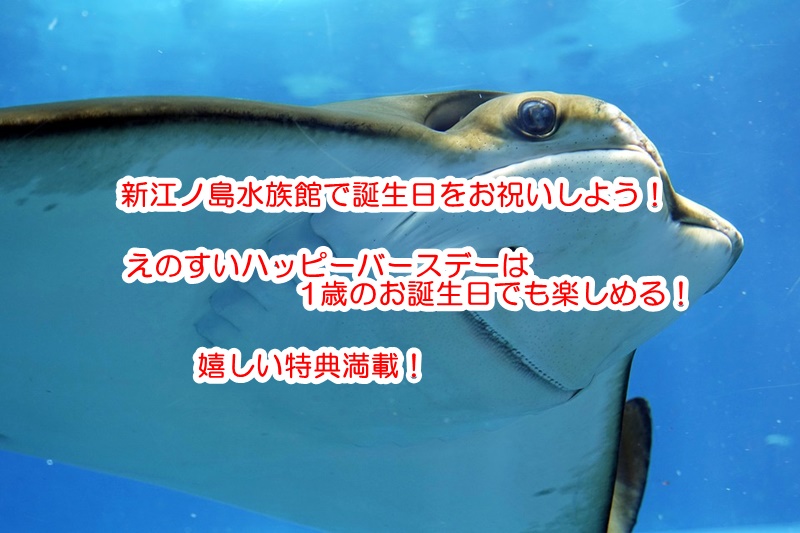 新江ノ島水族館 えのすい 1歳の赤ちゃんでもお誕生日イベント えのすいハッピーバースデー を体験できた方法 ハテナとバトル